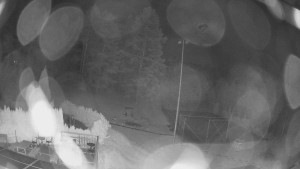 Schaumann Dziedziniec – pensjonat dla gości - Amfiteatr – plac zabaw - 8.8.2026 v 23:50 Schaumann Dziedziniec – pensjonat dla gości - Amfiteatr – plac zabaw - 8.8.2026 v 23:50