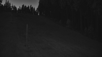 Snímek 6.11.2025 v 06:01