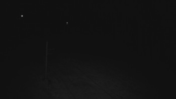 Snímek 7.11.2025 v 19:01