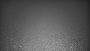 Ski areál U Sachovy studánky - Sachova studánka - 16.11.2025 v 00:01 Ski areál U Sachovy studánky - Sachova studánka - 16.11.2025 v 00:01