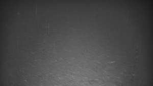 Ski areál U Sachovy studánky - Sachova studánka - 11.12.2025 v 06:01 Ski areál U Sachovy studánky - Sachova studánka - 11.12.2025 v 06:01