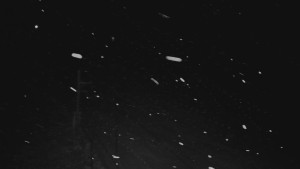 Ski areál U Sachovy studánky - Sachova studánka - 10.1.2026 v 21:00 Ski areál U Sachovy studánky - Sachova studánka - 10.1.2026 v 21:00