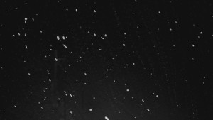 Ski areál U Sachovy studánky - Sachova studánka - 10.1.2026 v 23:01 Ski areál U Sachovy studánky - Sachova studánka - 10.1.2026 v 23:01