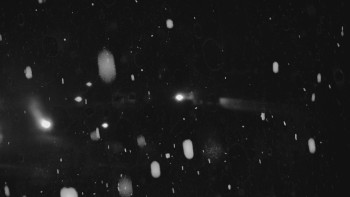 Snímek 23.11.2025 v 03:01