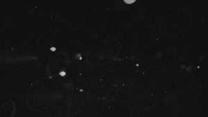 Ski areál U Sachovy studánky - Sachova studánka - 2.1.2026 v 04:01 Ski areál U Sachovy studánky - Sachova studánka - 2.1.2026 v 04:01