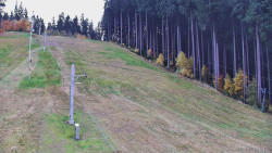 Sachova studánka