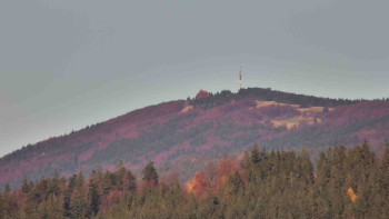 Snímek 6.11.2025 v 09:01