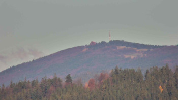 Snímek 7.11.2025 v 08:01