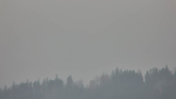 Snímek 17.11.2025 v 09:01