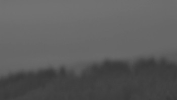 Snímek 20.11.2025 v 07:01