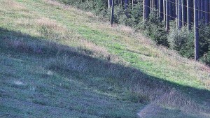 Ski areál U Sachovy studánky - Radhošť - 24.8.2026 v 09:01 Ski areál U Sachovy studánky - Radhošť - 24.8.2026 v 09:01