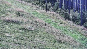 Ski areál U Sachovy studánky - Radhošť - 24.8.2026 v 10:01 Ski areál U Sachovy studánky - Radhošť - 24.8.2026 v 10:01
