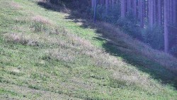 Radhošť