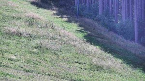 Ski areál U Sachovy studánky - Radhošť - 24.8.2026 v 12:01 Ski areál U Sachovy studánky - Radhošť - 24.8.2026 v 12:01