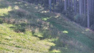 Ski areál U Sachovy studánky - Radhošť - 24.8.2026 v 13:01 Ski areál U Sachovy studánky - Radhošť - 24.8.2026 v 13:01