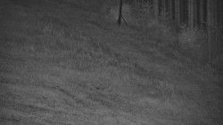 Radhošť