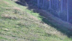 Radhošť