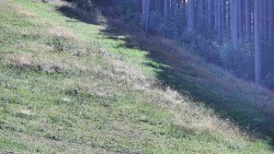 Radhošť
