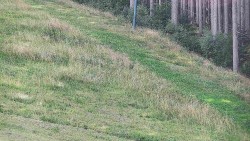 Radhošť