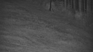 Ski areál U Sachovy studánky - Radhošť - 5.9.2026 v 00:01 Ski areál U Sachovy studánky - Radhošť - 5.9.2026 v 00:01
