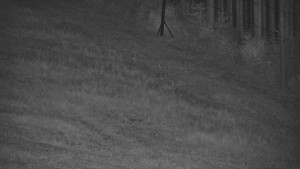 Ski areál U Sachovy studánky - Radhošť - 5.9.2026 v 01:01 Ski areál U Sachovy studánky - Radhošť - 5.9.2026 v 01:01