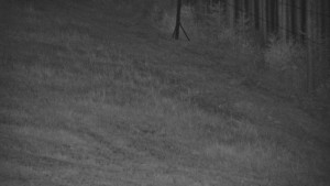 Ski areál U Sachovy studánky - Radhošť - 5.9.2026 v 04:01 Ski areál U Sachovy studánky - Radhošť - 5.9.2026 v 04:01