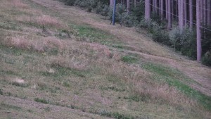 Ski areál U Sachovy studánky - Radhošť - 5.9.2026 v 06:01 Ski areál U Sachovy studánky - Radhošť - 5.9.2026 v 06:01