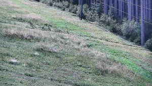Ski areál U Sachovy studánky - Radhošť - 5.9.2026 v 11:01 Ski areál U Sachovy studánky - Radhošť - 5.9.2026 v 11:01