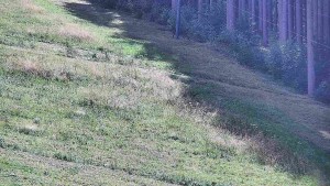 Ski areál U Sachovy studánky - Radhošť - 5.9.2026 v 12:01 Ski areál U Sachovy studánky - Radhošť - 5.9.2026 v 12:01