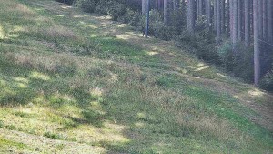 Ski areál U Sachovy studánky - Radhošť - 5.9.2026 v 13:01 Ski areál U Sachovy studánky - Radhošť - 5.9.2026 v 13:01