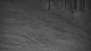 Ski areál U Sachovy studánky - Radhošť - 5.9.2026 v 21:01 Ski areál U Sachovy studánky - Radhošť - 5.9.2026 v 21:01