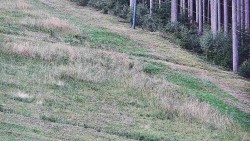 Radhošť