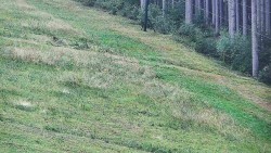 Radhošť