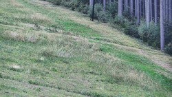 Radhošť