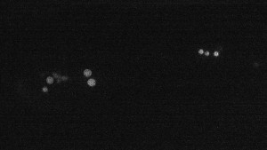 Ski areál U Sachovy studánky - Sachova studánka - 3.8.2025 v 00:31 Ski areál U Sachovy studánky - Sachova studánka - 3.8.2025 v 00:31