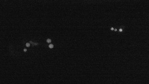 Ski areál U Sachovy studánky - Sachova studánka - 3.8.2025 v 02:31 Ski areál U Sachovy studánky - Sachova studánka - 3.8.2025 v 02:31