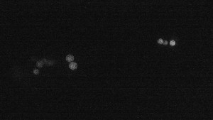 Ski areál U Sachovy studánky - Sachova studánka - 3.8.2025 v 03:01 Ski areál U Sachovy studánky - Sachova studánka - 3.8.2025 v 03:01