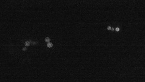 Ski areál U Sachovy studánky - Sachova studánka - 3.8.2025 v 03:31 Ski areál U Sachovy studánky - Sachova studánka - 3.8.2025 v 03:31