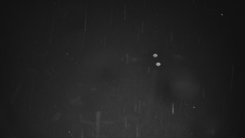 Snímek 3.11.2025 v 05:02