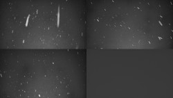 Ski areál u Sachovy studánky