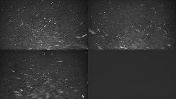 Ski areál u Sachovy studánky