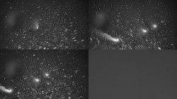 Ski areál u Sachovy studánky