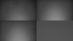 Ski areál u Sachovy studánky