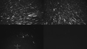 Ski areál U Sachovy studánky - Ski areál u Sachovy studánky - 5.1.2026 v 23:02 Ski areál U Sachovy studánky - Ski areál u Sachovy studánky - 5.1.2026 v 23:02