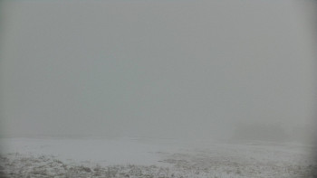 Snímek    29.10.2025 v 08:05