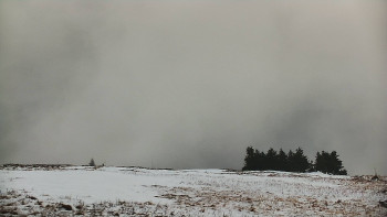 Snímek    29.10.2025 v 08:20