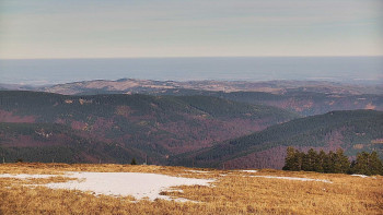 Snímek    31.10.2025 v 13:45