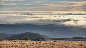 Snímek    1.11.2025 v 08:00