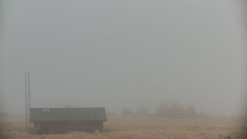 Snímek    1.11.2025 v 12:00