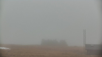 Snímek    3.11.2025 v 07:25